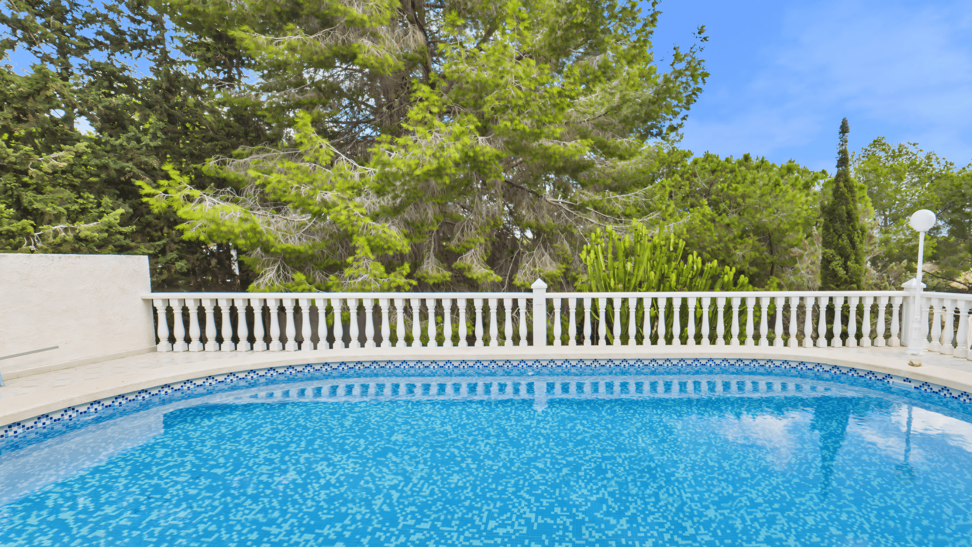 Before: old pool with balustrade in front of pine forest
